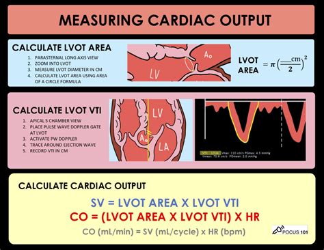 cardiac output calculator by echo.